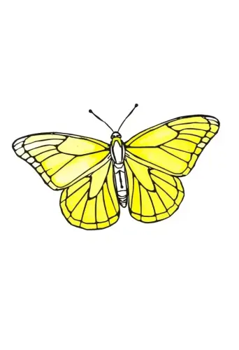 butterfly coloring pages​