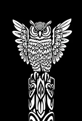 owl coloring pages