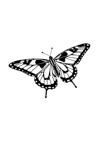 butterfly coloring pages​