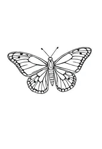 butterfly coloring pages​