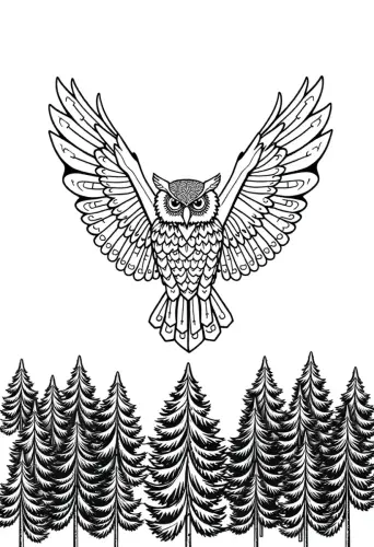 owl coloring pages