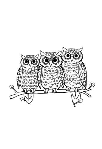 owl coloring pages