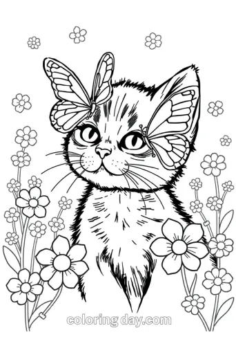 kitten coloring pages