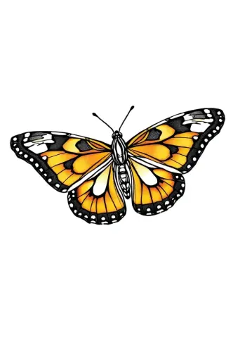 butterfly coloring pages​