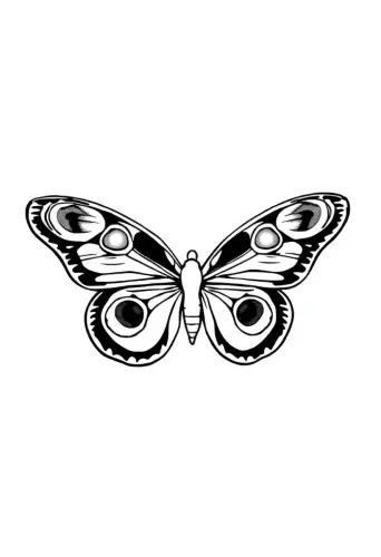 butterfly coloring pages​