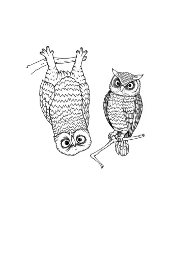 owl coloring pages