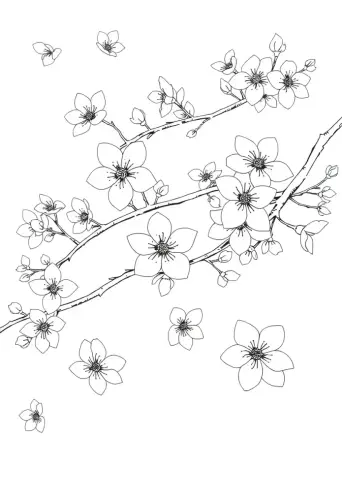 flower coloring pages