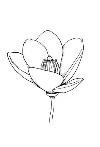 flower coloring pages