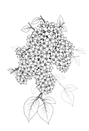 flower coloring pages