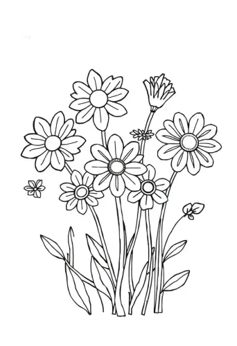 flower coloring pages