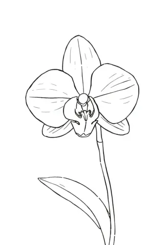 flower coloring pages