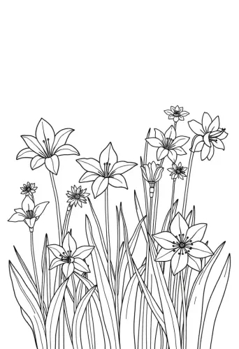 flower coloring pages