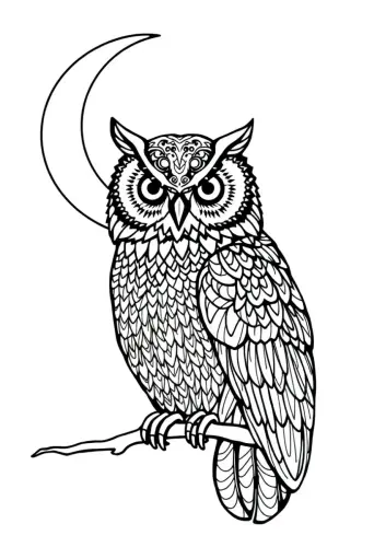 bird coloring pages