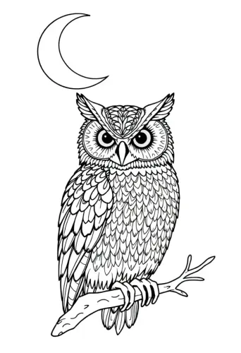 bird coloring pages