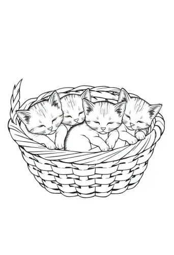 cat coloring page